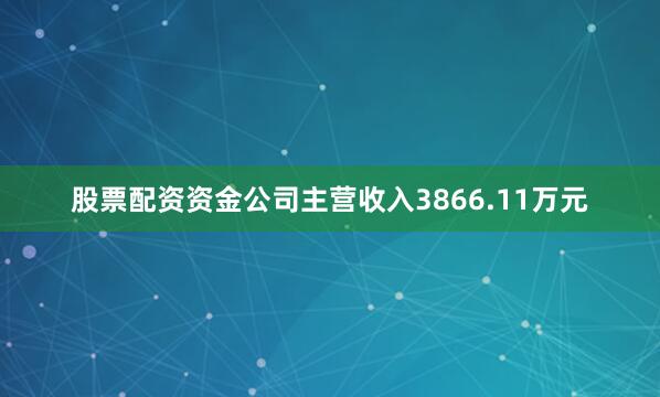 股票配资资金公司主营收入3866.11万元