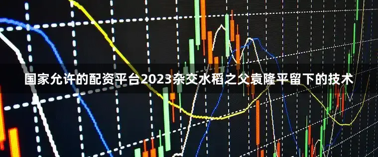 国家允许的配资平台2023杂交水稻之父袁隆平留下的技术