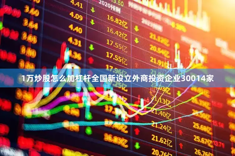 1万炒股怎么加杠杆全国新设立外商投资企业30014家