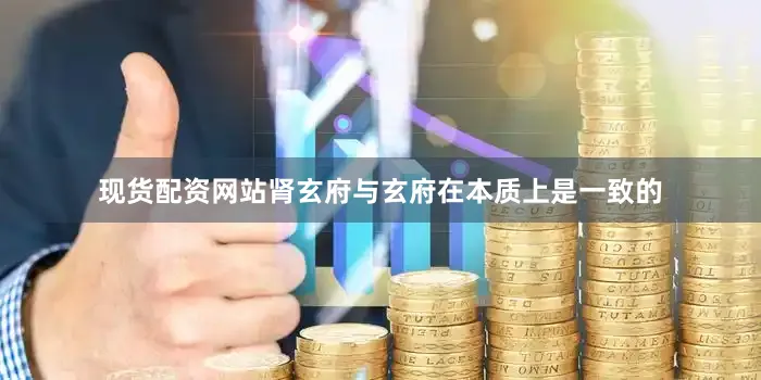 现货配资网站肾玄府与玄府在本质上是一致的