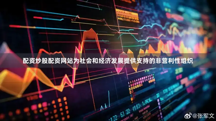 配资炒股配资网站为社会和经济发展提供支持的非营利性组织